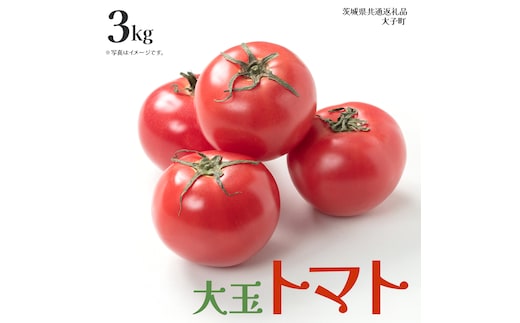 大玉 トマト 3kg (茨城県共通返礼品：大子町) 野菜 フルーツ 旬 季節限定 期間限定