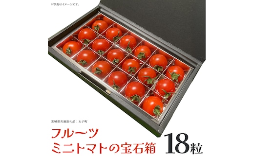 フルーツ ミニトマト の宝石箱 18粒 (茨城県共通返礼品：大子町) 野菜 フルーツ 旬 季節限定 期間限定