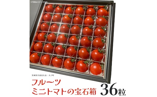 フルーツ ミニトマト の宝石箱 36粒 (茨城県共通返礼品：大子町) 野菜 フルーツ 旬 季節限定 期間限定