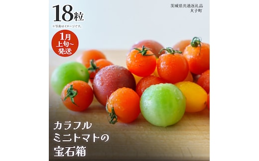カラフル ミニトマト の宝石箱 18粒【2026年1月上旬発送開始】(茨城県共通返礼品：大子町) 野菜 フルーツ 旬 季節限定 期間限定