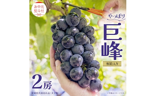 【 お中元 桐箱入り】 巨峰 ２房 【2026年8月上旬発送開始】(茨城県共通返礼品：大子町） ぶどう 葡萄 ブドウ フルーツ 果物 スイーツ ギフト 贈答用 贈り物 プレゼント