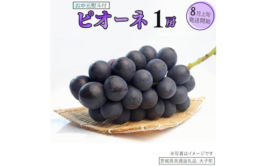 【 お中元 熨斗付き 】 ピオーネ １房 【2026年8月上旬発送開始】(茨城県共通返礼品：大子町) ブドウ ぶどう 葡萄 ピオーネ 果物 フルーツ 果実