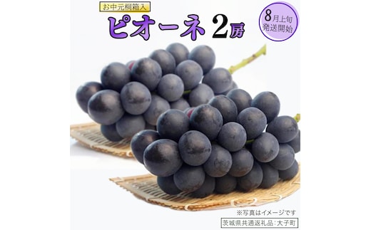 【 お中元 桐箱入り】 ピオーネ ２房 【2026年8月上旬発送開始】(茨城県共通返礼品：大子町) ブドウ ぶどう 葡萄 ピオーネ 果物 フルーツ 果実 贈答用 贈り物 ギフト プレゼント