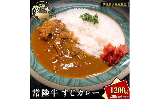 常陸牛 すじカレー 200g ×6 【茨城県共通返礼品】 カレー 牛すじ お肉 牛肉 簡単 冷凍 レトルト