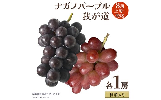 【 桐箱入り 】 ナガノパープル と 我が道 (各１房)【2026年8月上旬発送開始】(茨城県共通返礼品：大子町) ぶどう 葡萄 フルーツ 果物 贈答用 ギフト 贈り物