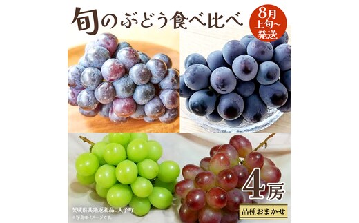 旬な ぶどう 食べ比べ 700g × 4房 【2026年8月上旬発送開始】(茨城県共通返礼品：大子町) ぶどう 葡萄 フルーツ 果物 おまかせ お楽しみ