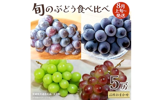 旬な ぶどう 食べ比べ 700g × 5房 【2026年8月上旬発送開始】(茨城県共通返礼品：大子町) ぶどう 葡萄 フルーツ 果物 おまかせ お楽しみ