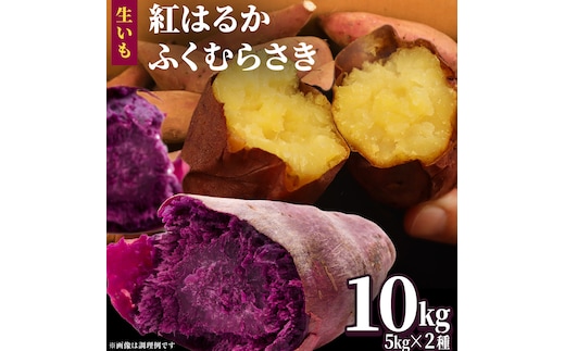 さつまいも 【 紅はるか ・ ふくむらさき 】 5kg ( 箱込 )の 2箱セット さつまいも 詰合せ 国産 農園 野菜 サツマイモ 芋 期間限定 デザート スイーツ おやつ 料理 味噌汁 煮物 生芋