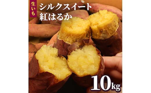 さつまいも 【 シルクスイート ・ 紅はるか 】 5kg ( 箱込 )の 2箱セット さつまいも 詰合せ 国産 農園 野菜 サツマイモ 芋 期間限定 デザート スイーツ おやつ 料理 味噌汁 煮物 生芋