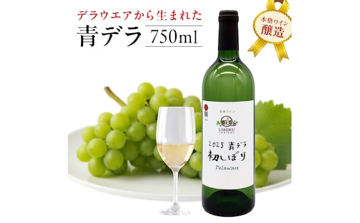 青デラ 750ml ワイン 白ワイン 白 酒 牛久シャトー デラウエア