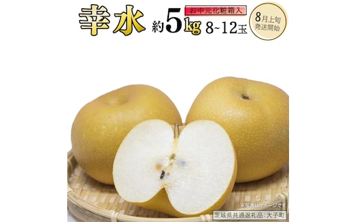 【 お中元 化粧箱入り】 幸水 約5kg (8～12玉)【2026年8月上旬発送開始】(茨城県共通返礼品：大子町) 梨 なし 果物 くだもの フルーツ