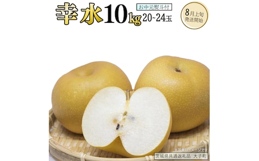 【 お中元 熨斗付き 】 幸水 約10kg (20～24玉)【2026年8月上旬発送開始】(茨城県共通返礼品：大子町) 梨 なし 果物 くだもの フルーツ