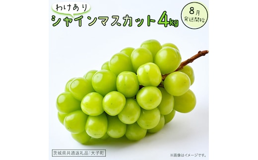 【 訳あり 】 シャインマスカット 4kg 【2026年8月発送開始】(茨城県共通返礼品：大子町) ぶどう 葡萄 マスカット フルーツ 果物 ワケあり ご自宅用 ご家庭用 自分用