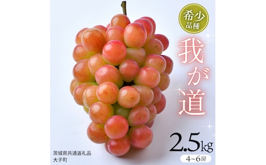 我が道 2.5kg (4～6房)【2026年8月下旬発送開始】(茨城県共通返礼品：大子町) シャインマスカット ウインク 葡萄 ブドウ ぶどう 果物 フルーツ 希少 新品種