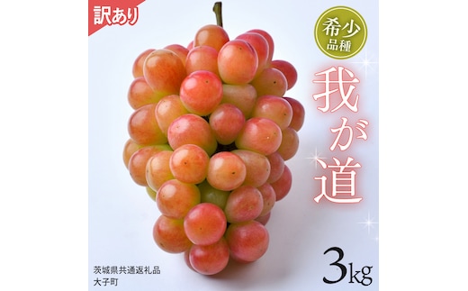 【 訳あり 】 我が道 3kg 【2026年9月発送開始】(茨城県共通返礼品：大子町) シャインマスカット ウインク 葡萄 ブドウ ぶどう 果物 フルーツ 希少 新品種 わけあり ワケあり ご自宅用 ご家庭用 自分用