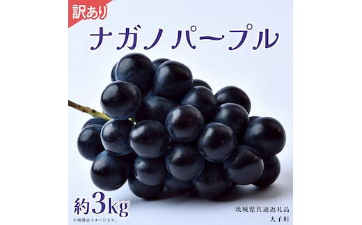 【 訳あり 】ナガノパープル 3kg 【2026年9月上旬発送開始】(茨城県共通返礼品：大子町) ぶどう 葡萄 ブドウ 果物 フルーツ 果実 わけあり ワケあり ご自宅用 ご家庭用 自分用