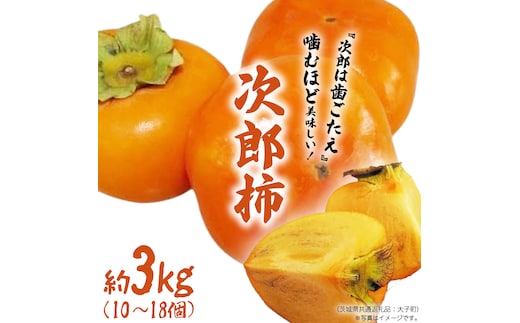 次郎柿 3kg 【2026年9月上旬発送開始】(茨城県共通返礼品：大子町) 柿 かき カキ 次郎柿 完全甘柿 秋の味覚 果物 フルーツ 旬