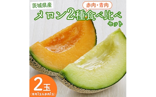 【6月上旬頃より発送】茨城県産 青肉・赤肉メロンセット 秀品または優品 3Lまたは4Lサイズ×各1玉入 おすすめ JA全農いばらき JA メロン めろん フルーツ くだもの 果物 国産旬 定番 旬 期間限定 青肉 赤肉 食べ比べ アンデス クインシー エルソル