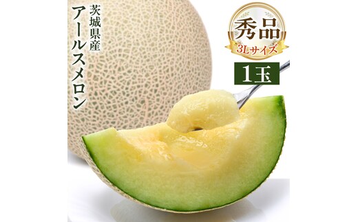 【 先行予約 】茨城県産 アールスメロン 秀品 3L サイズ × 1玉 入り 【 2026年8月下旬から発送 】 おすすめ JA全農いばらき JA 【 2026年8月下旬から発送 】 メロン めろん ふるさと納税 フルーツ 予約 マスクメロン くだもの 果物 国産旬 定番 旬 期間限定 青肉 果物