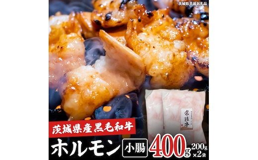 【茨城県産】 黒毛和牛 もつ鍋 焼肉用 小腸 400g（200g×2パック） (茨城県共通返礼品) 国産 牛肉 肉 お肉 ホルモン もつ 和牛 小腸 ホルモン 味付き 味付ホルモン タレ漬け 焼肉 BBQ 小分け 冷凍 料理 簡単