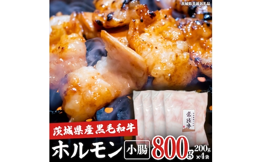 【茨城県産】 黒毛和牛 もつ鍋 焼肉用 小腸 800g（200g×4パック） (茨城県共通返礼品) 国産 牛肉 肉 お肉 ホルモン もつ 和牛 小腸 ホルモン 味付き 味付ホルモン タレ漬け 焼肉 BBQ 小分け 冷凍 料理 簡単
