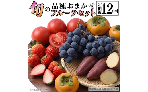 品種おまかせ 旬 の フルーツセット 定期便 12回 ( 茨城県共通返礼品：大子町 ) 詰め合わせ フルーツ 旬 定期 12回 食べ比べ ご褒美 贈り物 ご家庭用 農家直送 産地直送 [FC213us]