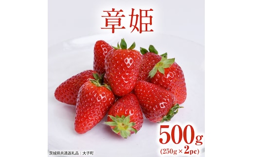 章姫 500g (250g×2pc) 【 2026年12月上旬発送開始 】 ( 茨城県共通返礼品：大子町 ) いちご 苺 イチゴ 大粒 果汁 たっぷり ジューシー あきひめ 農家直送 産地直送 [FC210us]