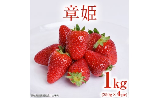 章姫 1kg (250g×4pc) 【 2026年12月上旬発送開始 】 ( 茨城県共通返礼品：大子町 ) いちご 苺 イチゴ 大粒 果汁 たっぷり ジューシー あきひめ 農家直送 産地直送 [FC209us]