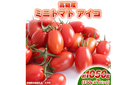 高糖度 ミニトマト アイコ 約1050g (150g×7パック) ( 茨城県共通返礼品：大子町 ) ミニトマト ぷちトマト 高糖度 甘い 新鮮 野菜 サラダ 弁当 リコピン 農家直送 産地直送 [FC208us]