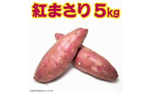 紅まさり 5kg 【 2026年12月上旬発送開始 】 ( 茨城県共通返礼品：大子町 ) さつまいも 焼き芋 しっとり なめらか 冷やし焼き芋 甘い 新芋 希少品種 農家直送 産地直送 [FC203us]