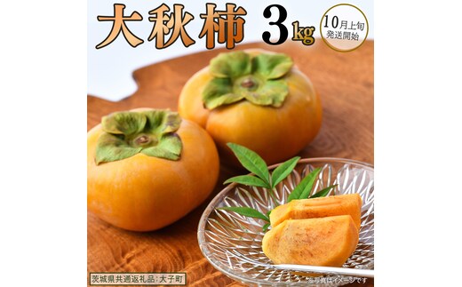 大秋柿 3kg 【 2026年10月上旬発送開始 】 ( 茨城県共通返礼品：大子町 ) 柿 カキ かき 果物 フルーツ 旬 季節限定 期間限定 農家直送 産地直送 [FC200us]