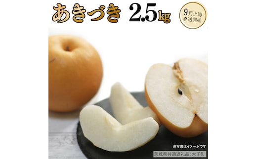 あきづき 2.5kg 【 2026年9月上旬発送開始 】 ( 茨城県共通返礼品：大子町 ) 梨 なし 果物 くだもの フルーツ 秋月 ナシ 農家直送 産地直送 [FC199us]