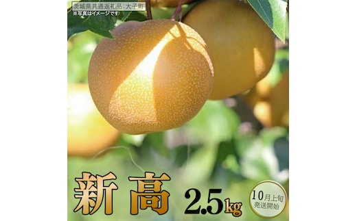 梨 新高 2.5kg 【 2026年10月上旬発送開始 】 ( 茨城県共通返礼品：大子町 ) 梨 なし 果物 くだもの フルーツ にいたか ナシ 農家直送 産地直送 [FC198us]