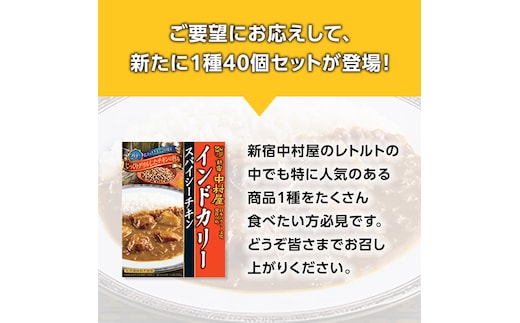 新宿 中村屋 インドカリー スパイシーチキン 40個 人気 洋食 レトルト
