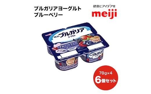 ブルガリア ヨーグルト ブルーベリー フルーツ 乳製品 発酵食品 合計1800g