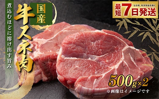 国産 牛スネ肉 500g×2 合計1kg 小分け 茨城県産 カレー シチュー