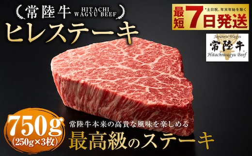 【常陸牛】ヒレステーキ250g×3枚 750g A4ランク以上 お肉 牛肉 ヒレ肉 ヒレ フィレ 希少 冷凍 常陸 和牛 国産 茨城県 ステーキ 守谷市