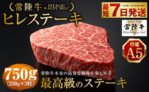 【年内発送 12/17迄受付】【常陸牛特選A5】ヒレステーキ250g×3枚