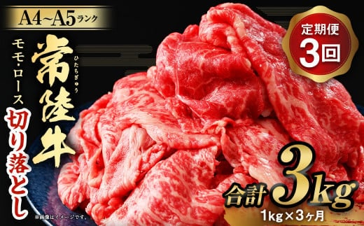 定期便 3ヶ月】【常陸牛】切り落とし1kg | dショッピングふるさと納税百選