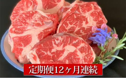 【定期便】常陸牛すね肉500g×2 12ヶ月連続お届け