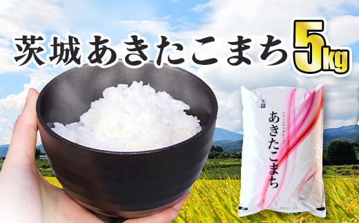 令和7年産 茨城あきたこまち 5kg 1袋 あきたこまち 白米 精米 ごはん お米 国産 茨城県産 守谷市 送料無料