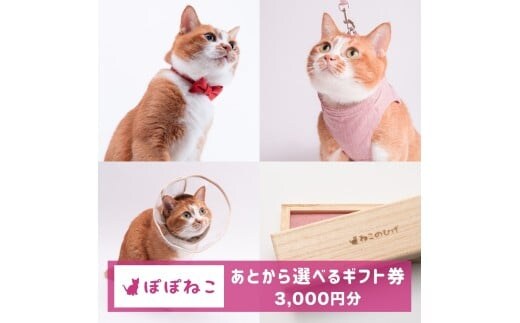 ぽぽねこギフト券（Eメールタイプ）3,000円分「共通返礼品」 デジタル商品券 オンラインショップ 電子マネー 猫 ネコ
