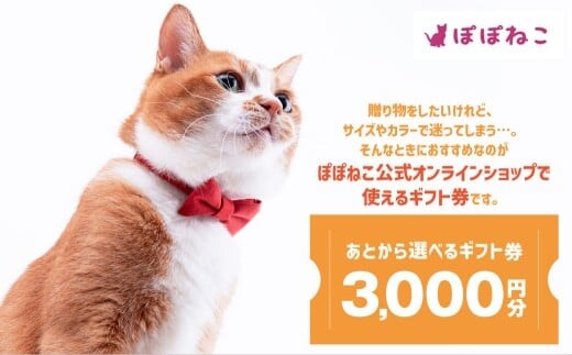 ぽぽねこギフト券（封筒タイプ）3,000円分「共通返礼品」 商品券 オンラインショップ 猫 ネコ