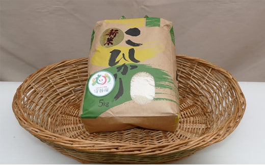 令和7年産 コシヒカリ 5kg ｜ お米・コシヒカリ・5kg・米・新米 ※2025年9月中旬頃～発送予定