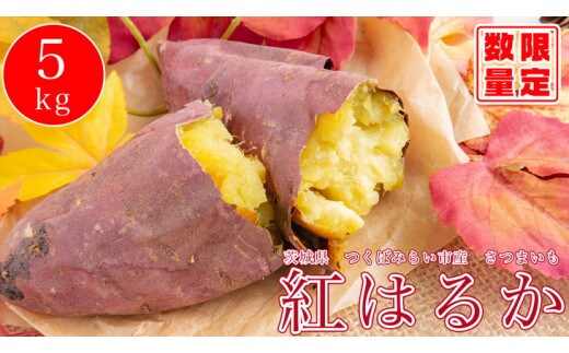 オーガニックさつまいも5kg【農薬・肥料不使用】【茨城県共通返礼品 つくばみらい市】※2025年10月下旬～2026年2月下旬頃発送予定