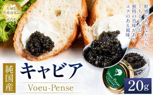 【先行予約】純国産 キャビア Voeu-Pense 20g 【茨城県共通返礼品 河内町】 魚介 魚卵 ベステル卵 贈り物 ギフト お土産 国産 グルメ 食品 加工品 冷凍 茨城県 守谷市 送料無料 ※2026年1月中旬頃より順次発送予定