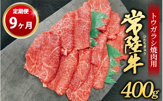 【定期便 9ヶ月】【希少部位】常陸牛トウガラシ焼肉用400g（茨城県共通返礼品 茨城県産）