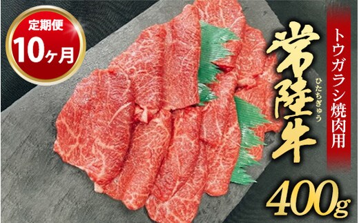 【定期便 10ヶ月】【希少部位】常陸牛トウガラシ焼肉用400g（茨城県共通返礼品 茨城県産）