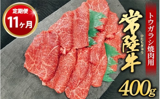 【定期便 11ヶ月】【希少部位】常陸牛トウガラシ焼肉用400g（茨城県共通返礼品 茨城県産）