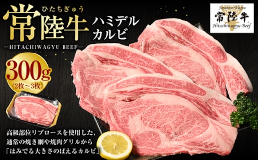 【年内発送 12/17迄受付】【常陸牛】ハミデルカルビ300g（2～3枚）（茨城県共通返礼品 茨城県産）